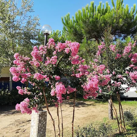 Luxury tent Country Camp Paradiso *